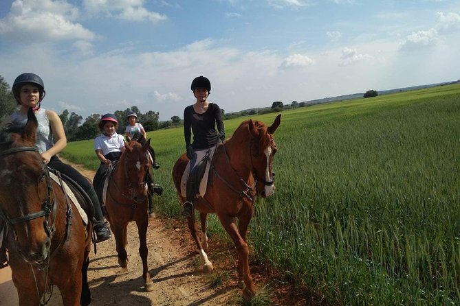 Horseback riding around Doñana National Park - A short ride out of Seville that feels like you escaped