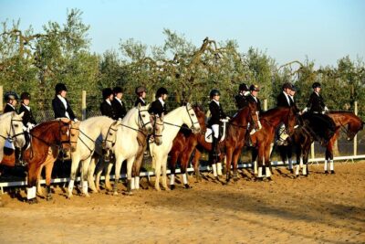 Horseback riding around Doñana National Park - Getting started: meeting the team and meeting your horse