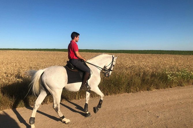 Horseback riding around Doñana National Park - Duration and timing: what the “2 hours” usually means