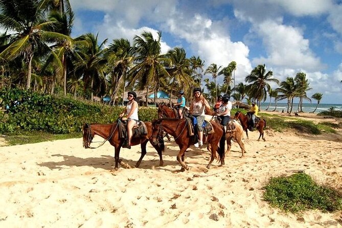Horseback Riding at Macao Beach - A 2.5-hour private ride that leaves your whole day open