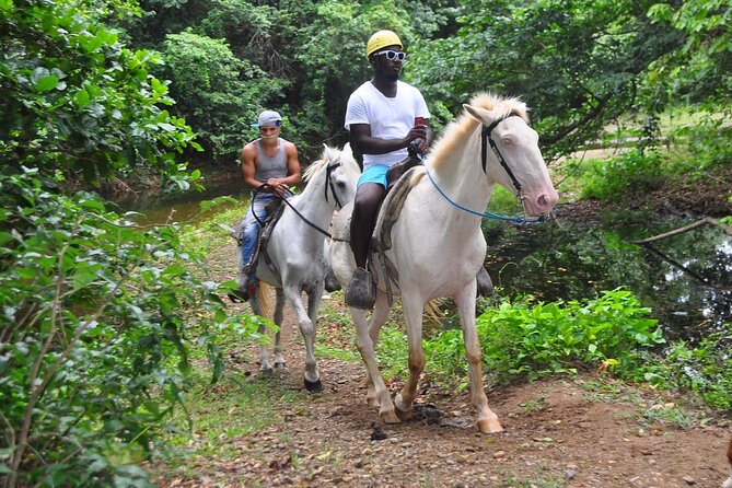 Horseback Riding at Macao Beach - The village ride: where the countryside tells its story