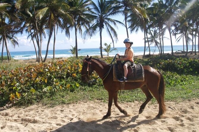 Horseback Riding at Macao Beach - Riding Macao Beach: sandy shoreline views and that slow-down moment