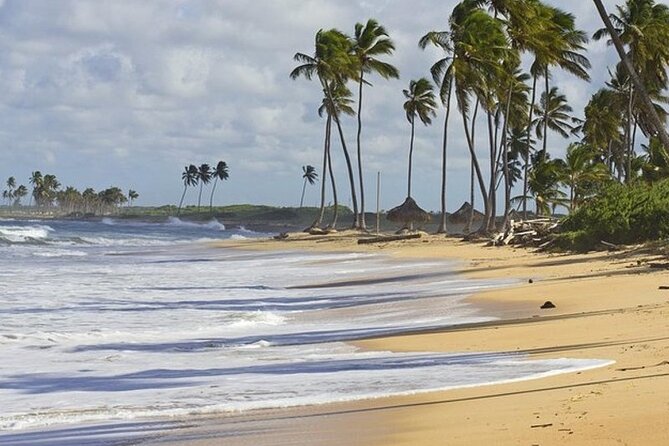 Horseback Riding at Macao Beach - Pace control on a private tour: why it matters for families