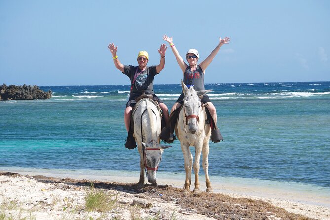 Horseback Riding at Mahogany Bay - Horse vs Mule: How You Choose and Who This Tour Fits