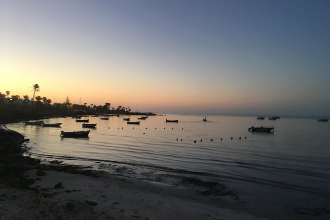 Horseback riding at sunrise 3h - Key things to know before you go