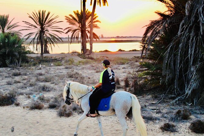 Horseback riding at sunrise 3h - Pickup, group size, and why $52.48 can be fair value