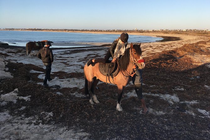 Horseback riding at sunrise 3h - What you’ll see from the viewpoint (and how to enjoy it)