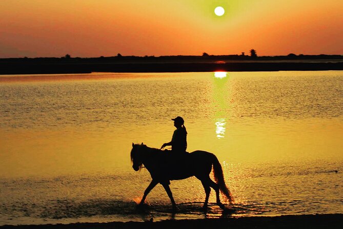 Horseback riding at sunrise 3h - Who should book this sunrise horseback ride in Djerba?