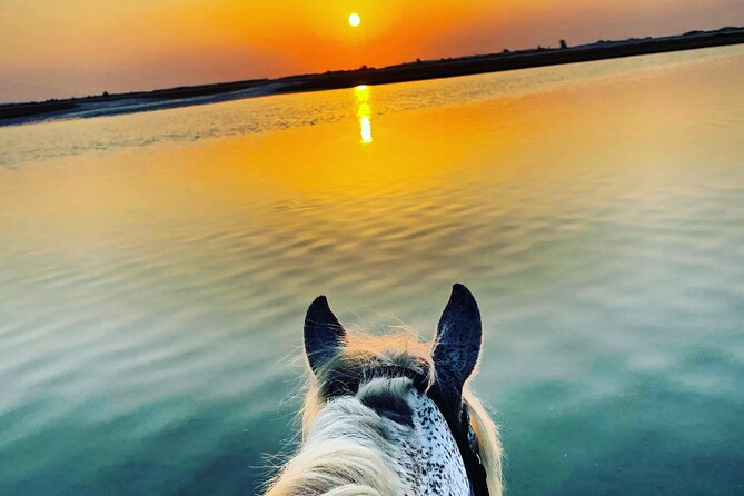 Horseback riding at sunrise 3h - The skill test: mastering no, trot, and gallop