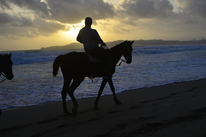 Horseback Riding at Sunrise on the Beach of Punta Cana - Price and Value: Is $83.19 for Punta Cana Worth It?