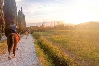 Horseback riding at sunset 1 hour at the Certosa di Pisa - The pre-ride field test (and the quick lesson that helps)
