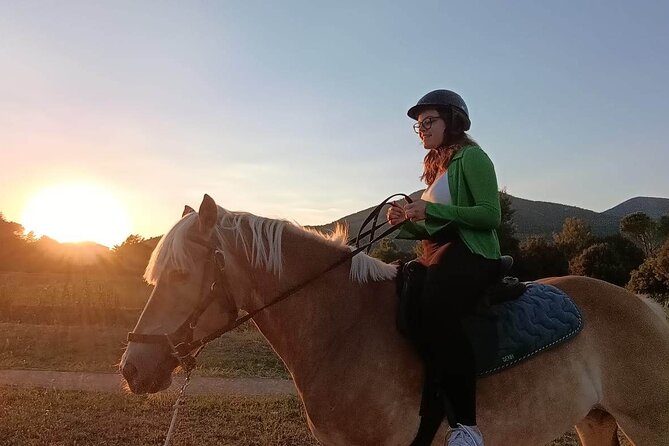 Horseback riding at sunset 1 hour at the Certosa di Pisa - Horses, tack, and animal care: what to look for (without panic)
