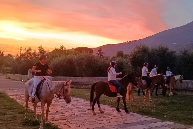 Horseback riding at sunset 1 hour at the Certosa di Pisa - Guides in English: the difference between confused and comfortable