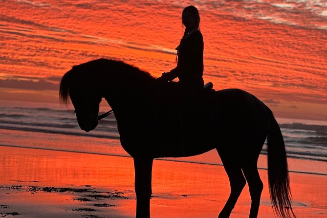 Horseback riding at sunset (2 hours) - The Private Guide: Why It Changes the Whole Experience