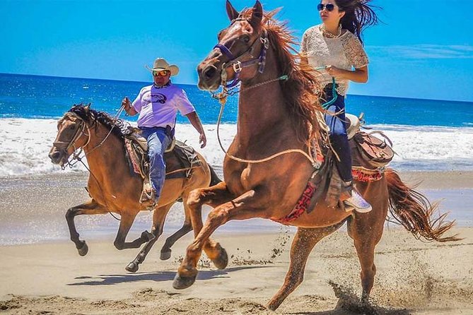 Horseback Riding & ATV Combo! Mountain Trails & Beautiful Beaches of BAJA! - Key points before you go