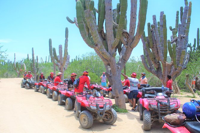 Horseback Riding & ATV Combo! Mountain Trails & Beautiful Beaches of BAJA! - Getting the timing right: morning options and a tight 2-hour window