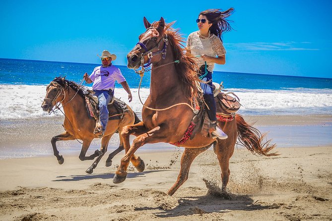 Horseback Riding & ATV Combo! Mountain Trails & Beautiful Beaches of BAJA! - The guide’s wildlife spotting: why it’s more than a talking point