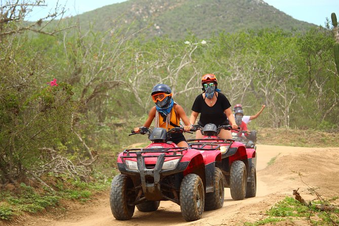 Horseback Riding & ATV Combo! Mountain Trails & Beautiful Beaches of BAJA! - Price and value: what $150 buys you in practice