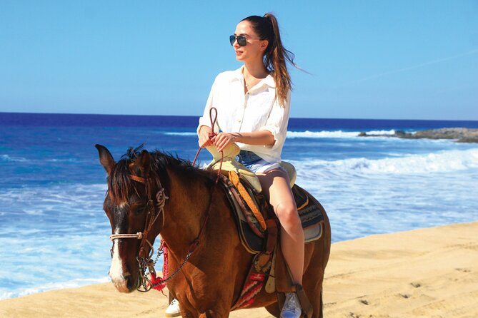 Horseback Riding Beach and Desert Adventure - Key Highlights You Should Know