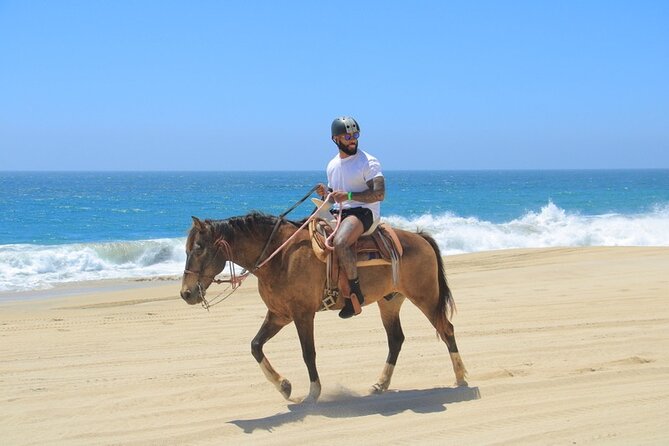 Horseback Riding Beach and Desert Adventure - Getting Started at Cactus Tours: How the Ride Kicks Off
