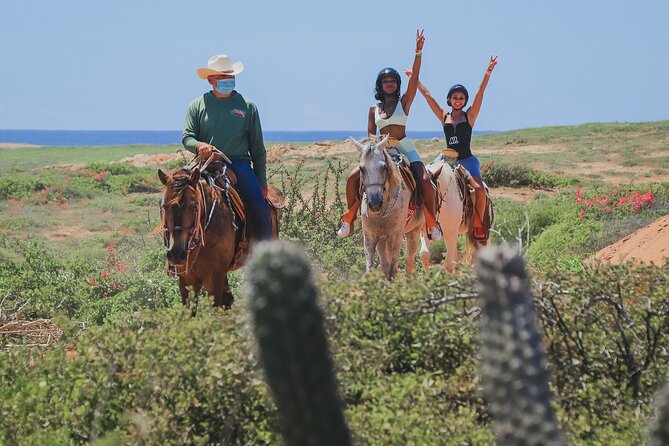 Horseback Riding Beach and Desert in Cabo - Quick Highlights to Know Before You Go
