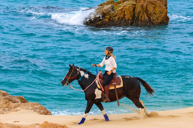 Horseback Riding Beach and Desert in Cabo - Tequila Tasting and Small Perks That Make It Feel Like More Than a Ride