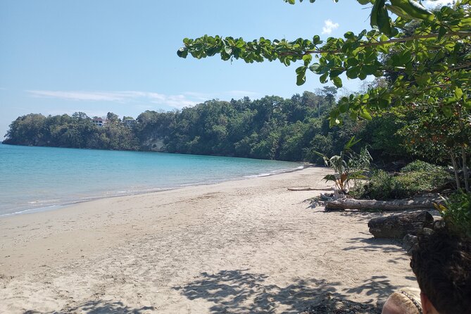 Horseback riding, Blue hole or Dunn's River Combo - Blue Hole: the secret falls hike, then water play at your pace