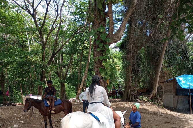 Horseback riding, Blue hole or Dunn's River Combo - Dunn’s River Falls: what that 1000-foot climb is really like