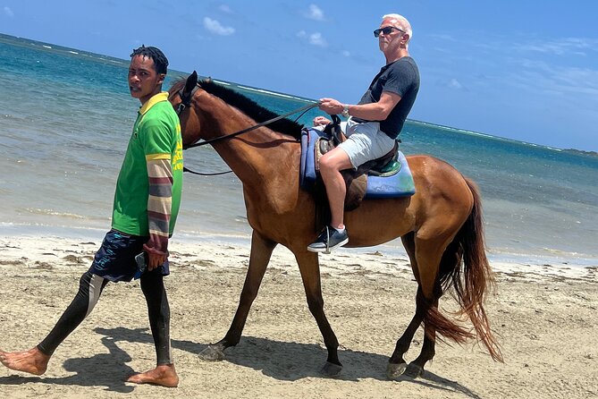 Horseback riding & bluehole secret falls from Montego Bay - Key highlights to know before you go