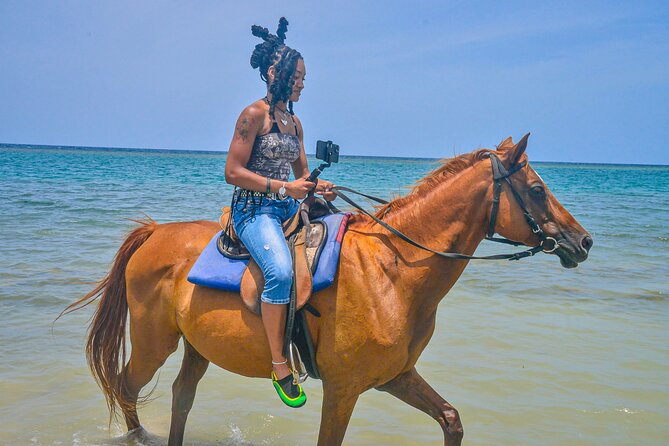 Horseback riding & bluehole secret falls from Montego Bay - Price and value: is $138 a good deal for this mix?