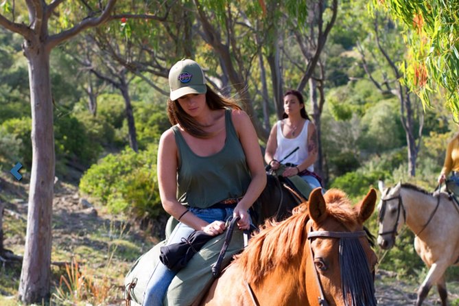 Horseback Riding by the beach or mountain in Tarifa, Spain - 1 to 2 hrs - Tarifa on a Horse: Beach Sand or Pine-Forest Mountains