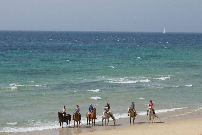 Horseback Riding by the beach or mountain in Tarifa, Spain - 1 to 2 hrs - What It Feels Like to Ride the Beach Dunes and Sea