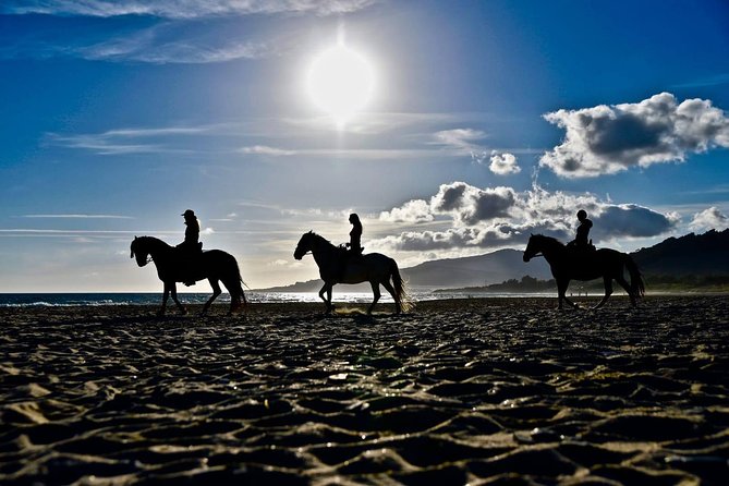 Horseback Riding by the beach or mountain in Tarifa, Spain - 1 to 2 hrs - Weather, Weight, and Age Limits You Should Check First