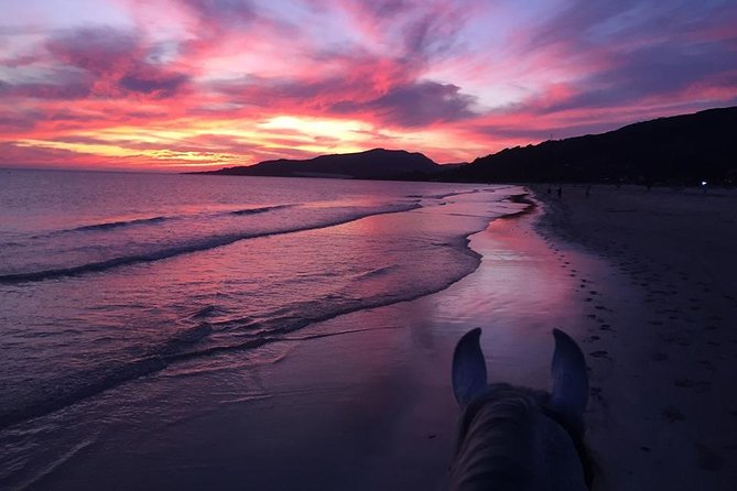 Horseback Riding by the beach or mountain in Tarifa, Spain - 1 to 2 hrs - Should You Book This Tarifa Horse Ride?