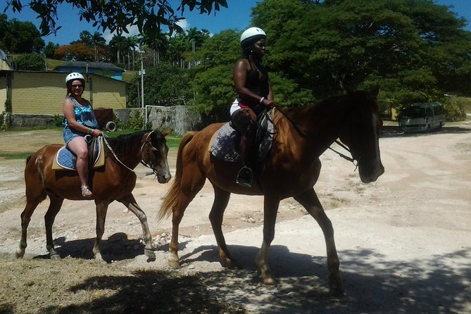 Horseback Riding Dunn's River Falls Adventure from Montego Bay - Key things I’d prioritize before you go