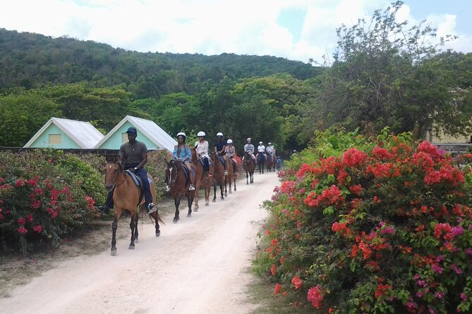 Horseback Riding Dunn's River Falls Adventure from Montego Bay - The ocean-in-water portion: what it might mean in real life