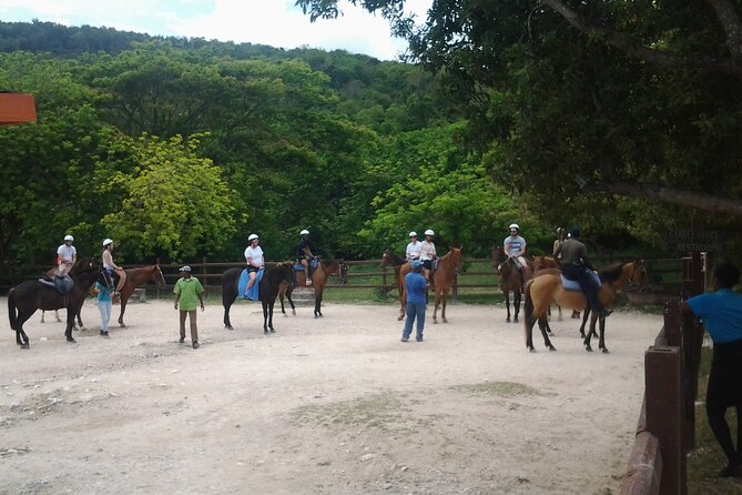 Horseback Riding Dunn's River Falls Adventure from Montego Bay - Cost and value: is $186.35 a fair deal?