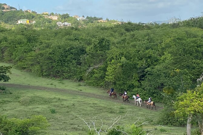Horseback Riding Experience - Meet at 72 Estate River, then get your horse-ready instructions