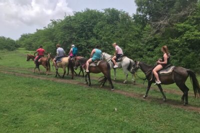Horseback Riding Experience - What the trail feels like: rainforest paths to open pastures