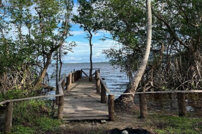 Horseback Riding - Experience between virgin beach and lagoon - The coconut-tree ride to Redonda Lagoon pier