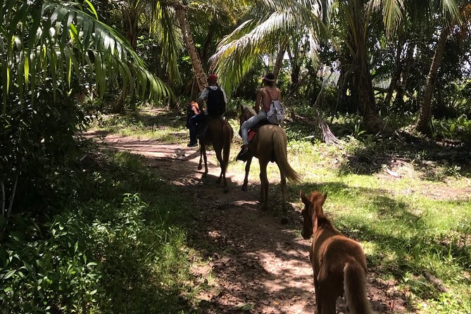 Horseback Riding - Experience between virgin beach and lagoon - Logistics that can make or break a morning