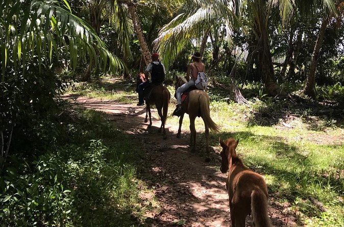 Horseback Riding - Experience between virgin beach and lagoon - Who this horseback ride suits best