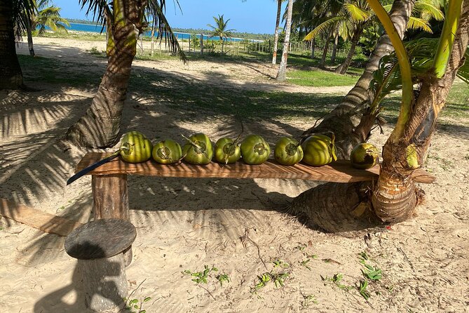 Horseback Riding - Experience between virgin beach and lagoon - Should you book this horseback ride in Miches?