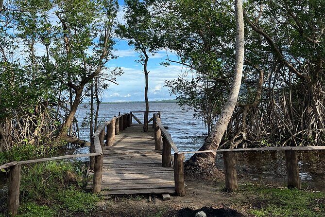 Horseback Riding - Experience between virgin beach and lagoon - The coconut-tree ride to Redonda Lagoon pier