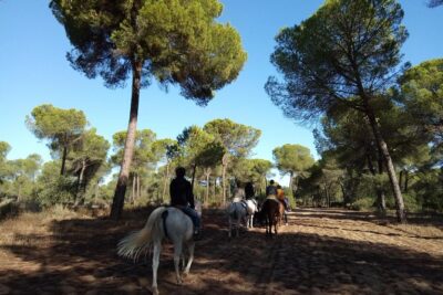 Horseback Riding Experience in Aljarafe, Doñana park from Seville - The logistics that matter: what to bring and how to prepare