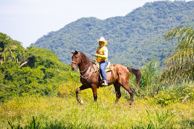 Horseback Riding Experience in Puerto Vallarta - Who Should Book This Horseback Ride (and Who Should Not)