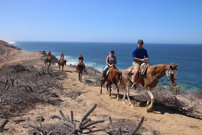 Horseback Riding Experience in Rancho San Cristobal - Key highlights (quick hits)