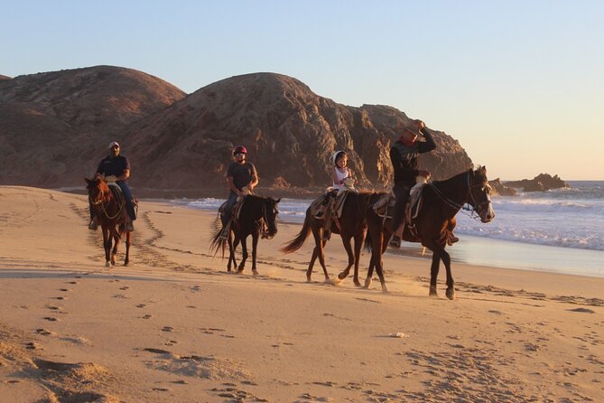 Horseback Riding Experience in Rancho San Cristobal - Cabo San Lucas to Rancho San Cristobal: why this location is a win