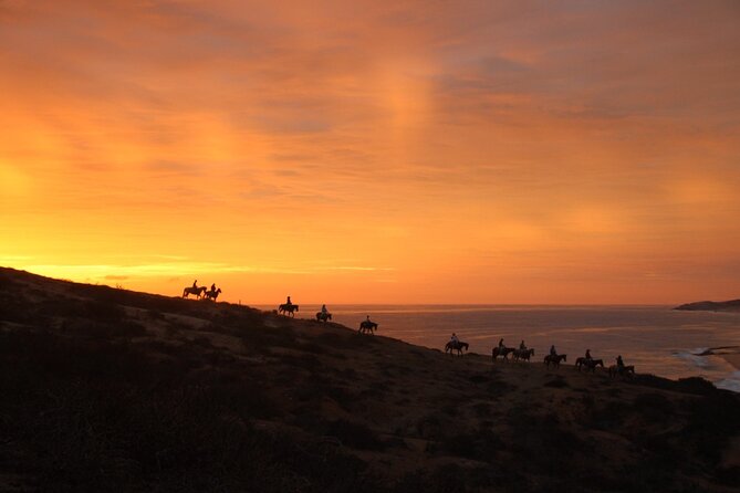 Horseback Riding Experience in Rancho San Cristobal - The guide component: history, plants, and that human touch