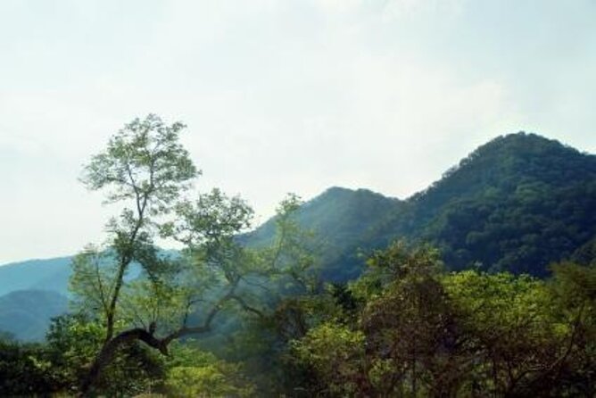 Horseback Riding Experience in Sierra Madre Mountains - Key Highlights You’ll Feel Immediately